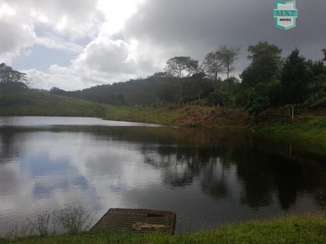 Igrapiúna. Fazenda com 845 Hectares e cachoeira, cacau, pupunha e seringa. - Foto 12