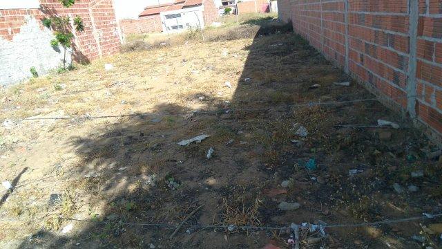 Terreno em capim grosso 10x20