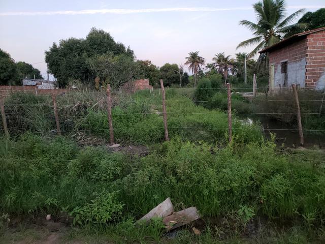 Terreno na praia de Cajueiro