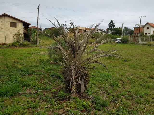 Terreno na Praia do Rosa Imbituba SC para moradia ou pousada próximo ao centro do Rosa - Foto 6