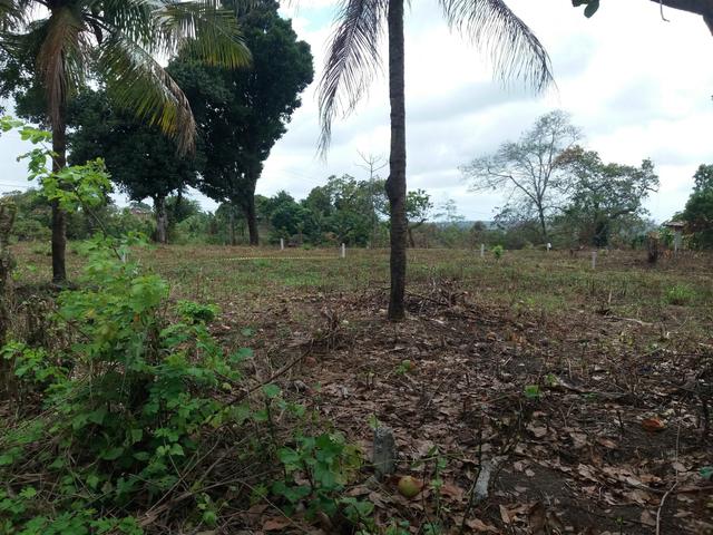 Terreno - Foto 3