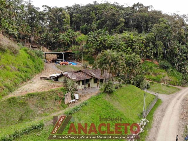 Barbada: Sítio com 2 hectares, casa, galpão, aceita troca!! - Foto 2