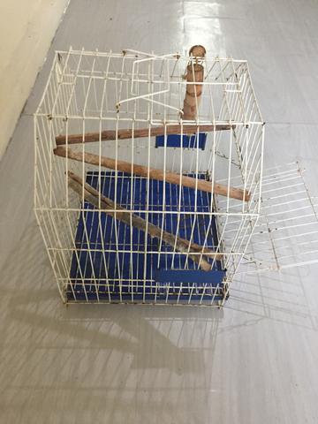Gaiola para calopsita ou caturrita - Foto 2