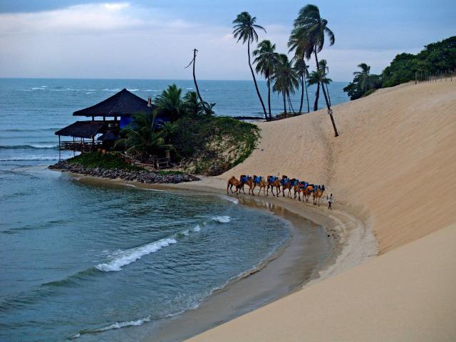 Reveillon Praia de Genipabu - Janeiro 2020 - Foto 6