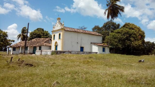 Fazenda 94,5 Ha. Pilar - Foto 5