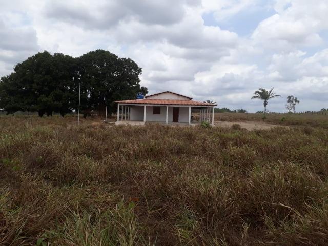 Vendo fazenda com 315 Hectares de terra!! - Foto 9