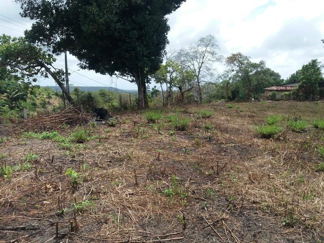 Terreno - Foto 4