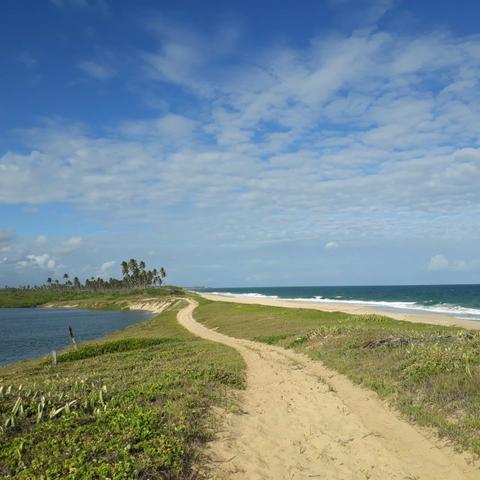 Sitio (Casa) em Barra de Jacuipe - Foto 18