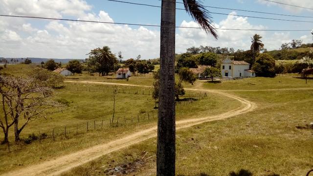 Fazenda 94,5 Ha. Pilar - Foto 2