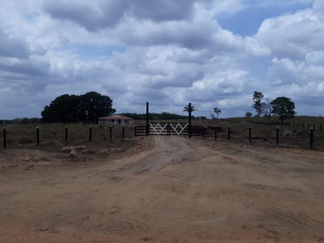 Vendo fazenda com 315 Hectares de terra!! - Foto 11