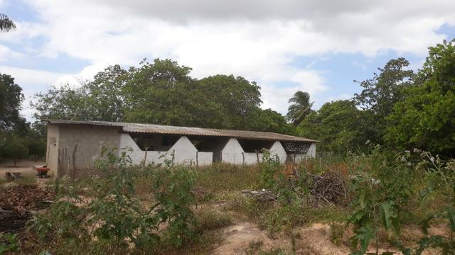 Granja com 10.000 m², vizinha ao Condomínio Fazenda Real I/II, em Macaíba/RN - Foto 2