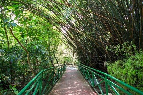 Casa de condomínio à venda com 4 dormitórios em Além ponte, Sorocaba cod:59323 - Foto 10