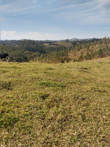 Comece 2020 com seu terreno 1000M2 em igarata RR10 - Foto 2