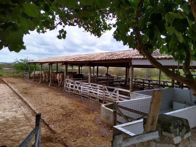 Linda casa no condomínio fazenda real 1 e 2, 3 quartos, suíte, excelente área de lazer - Foto 16