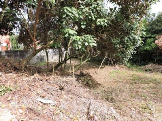 Loteamento/condomínio à venda em Terras do madeira, Carapicuíba cod:60320 - Foto 4