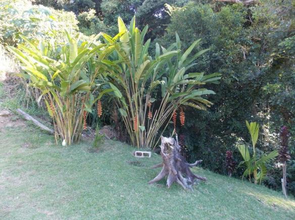 Terreno à venda em Jardim guaçu, São roque cod:59919 - Foto 4