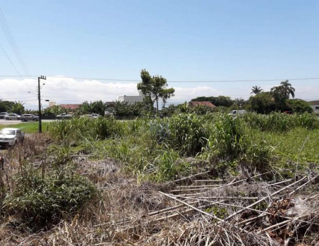 Terreno à venda em São miguel, Biguaçu cod:TE006896 - Foto 3