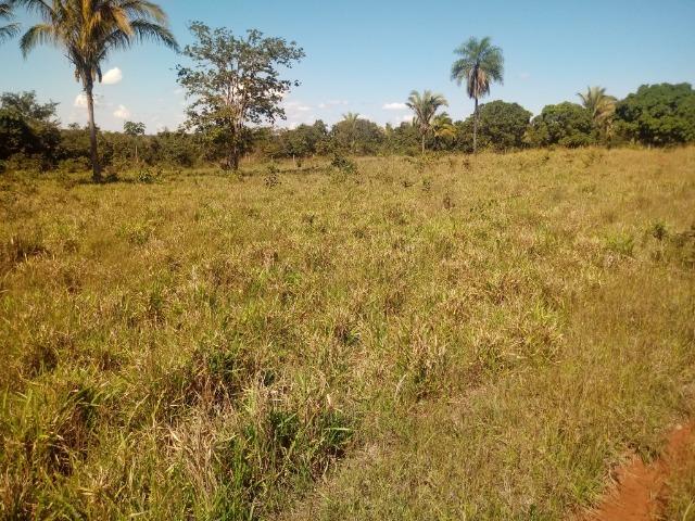 Chácara de 39 hectares em Acorizal ! - Foto 8