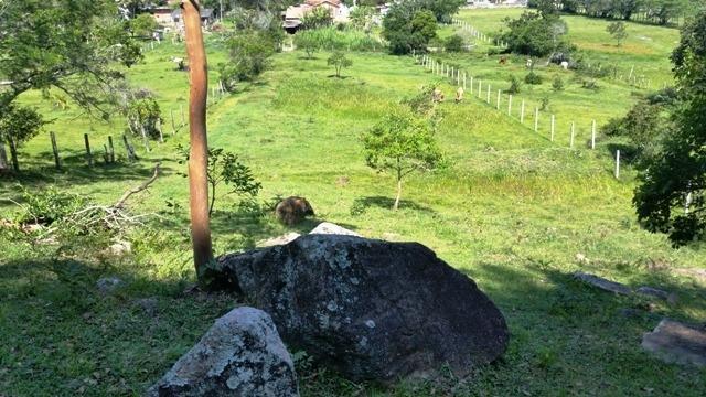 Chacara no Rio Vermelho muito bem localizado - Foto 6