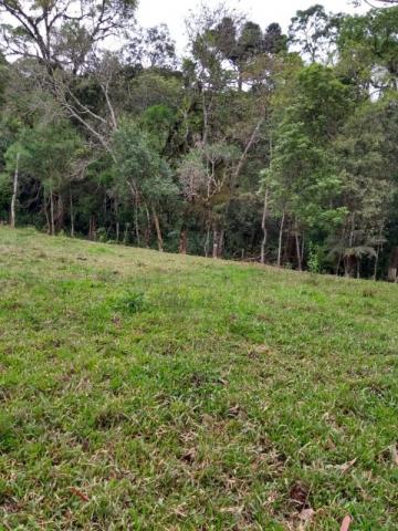 Chácara à venda em Rio do cacho, Contenda cod:CH00012 - Foto 10