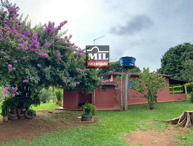 Linda Chácara 1.65 Alqueires ( 8 hectares ) Bela Vista de Goiás; - Foto 10