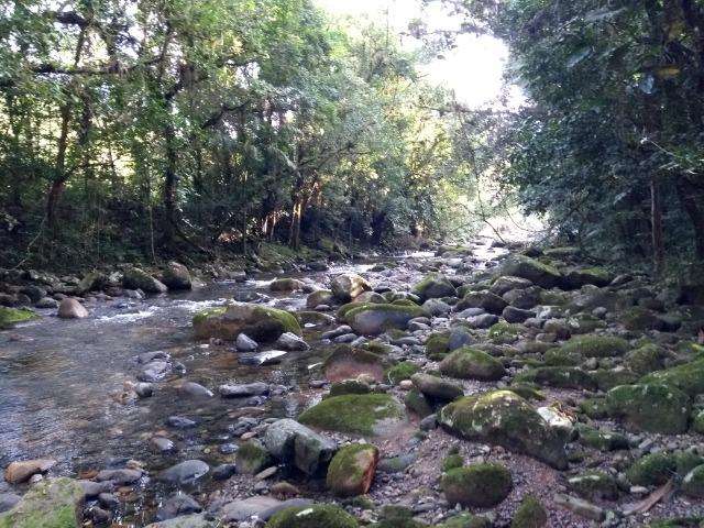 Terreno medindo 17 mil metros com rio e documentação - Foto 10