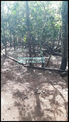 Chácara de 2.000 m2, região do trevo Zé Rosário