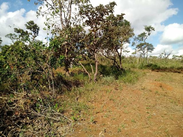 Fazendinha 30.000 mil m2, ótima localização em Três Marias. - Foto 5