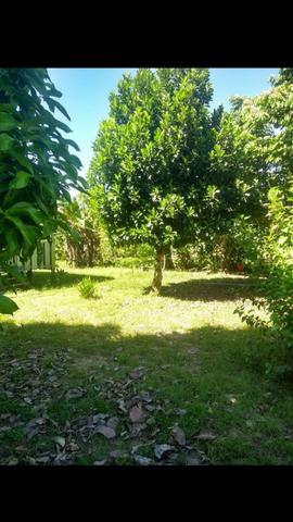 Vende - Se Chácara - Foto 8