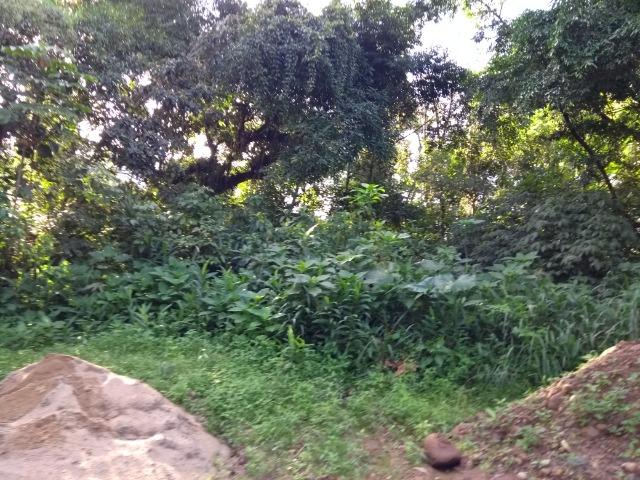 Terreno medindo 17 mil metros com rio e documentação - Foto 13