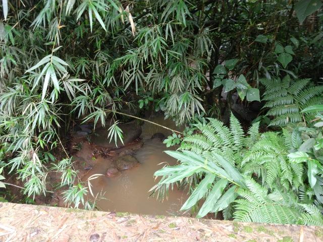 Chácara com 5 alqueires, rio, tanque de peixes pelo valor de 295 mil em Morretes - Foto 5