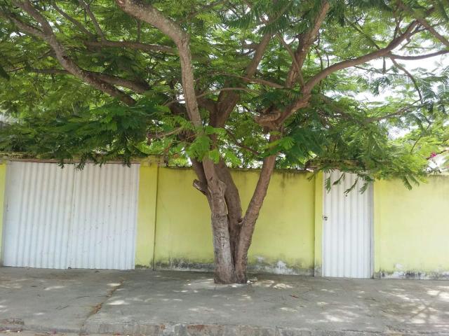 Alugo casa pro carnaval em ponta de pedras - Foto 6