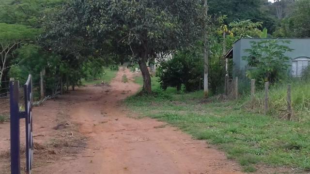 Vende - se chácara município de Cezarina na Beira do Rio dos bois - Foto 4