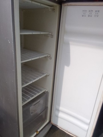 Freezer vertical