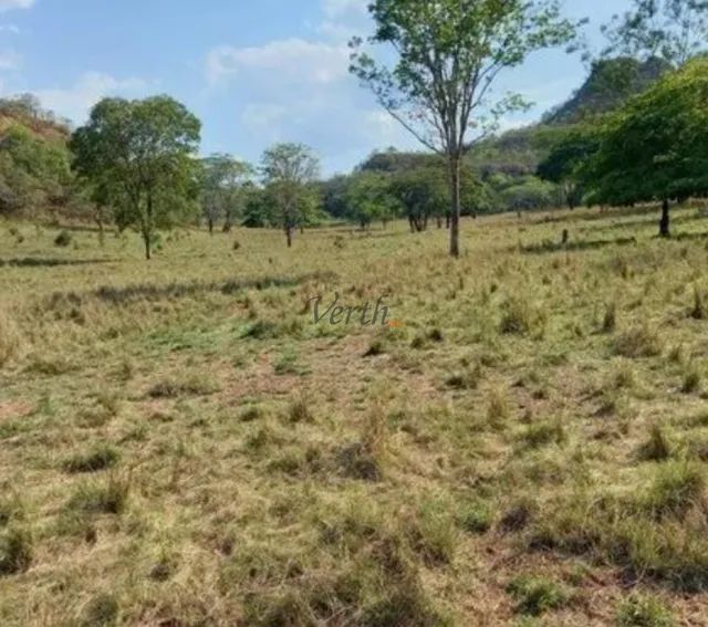 Fazenda em Rondonopolis - Mato Grosso, à venda com 2500ha - Foto 7