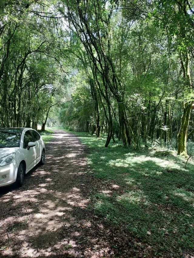 Vendo ou troco linda chácara. Leia o anuncio - Foto 2