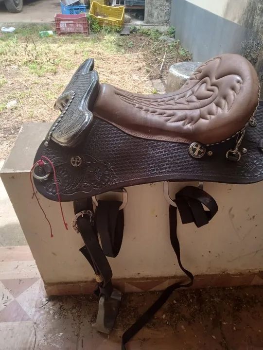 Cela Impecável  - Foto 3