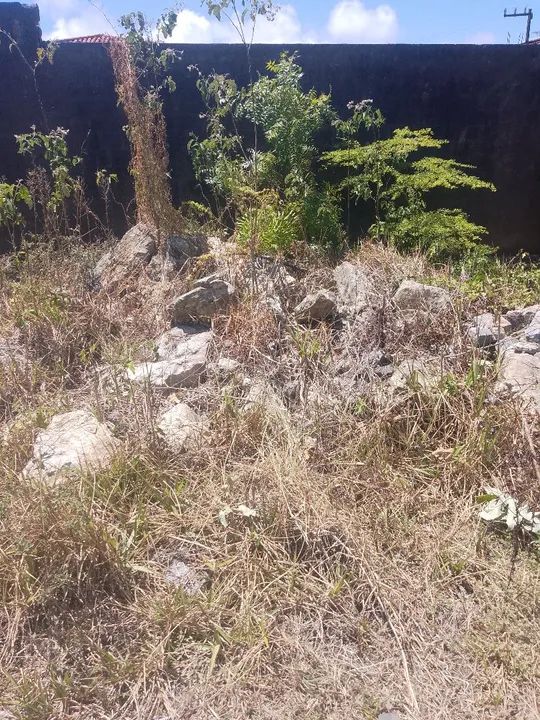 Vendo mais de 1 carrada de pedra pra alicerce - Foto 4