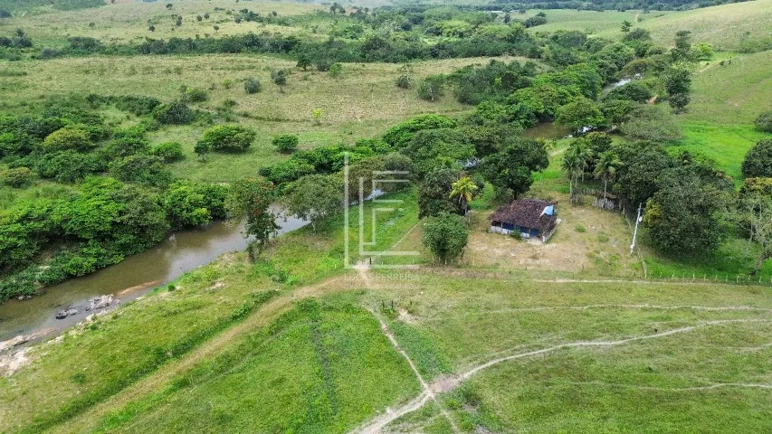 Fazenda 70% plana e ampla de 170 hectares no município de Cajueiro-AL