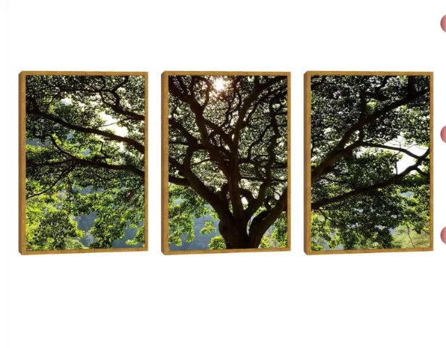 Quadro Decorativo Árvore da Vida, Serenidade Verde: Respire Paz (1 Vidro Quebrado) - Foto 3
