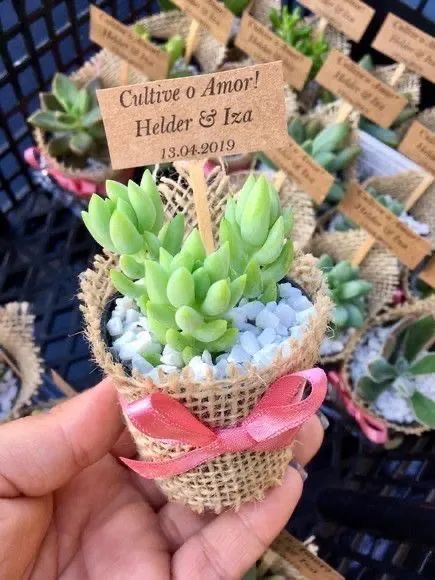 Lembrancinhas de Suculentas personalizadas  - Foto 3