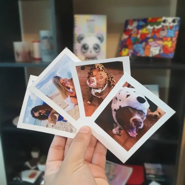 Fotos Polaroid impressão revelação 