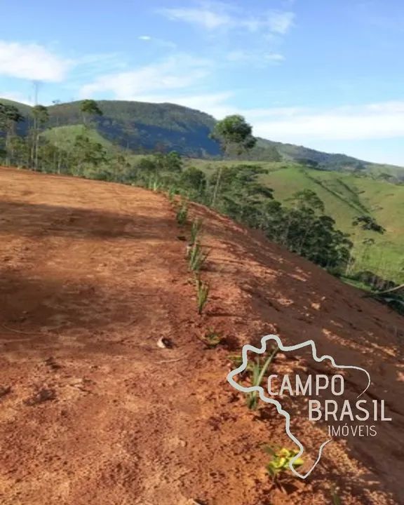 ÁREA 31.000M² EM MONTEIRO LOBATO ! - Foto 5