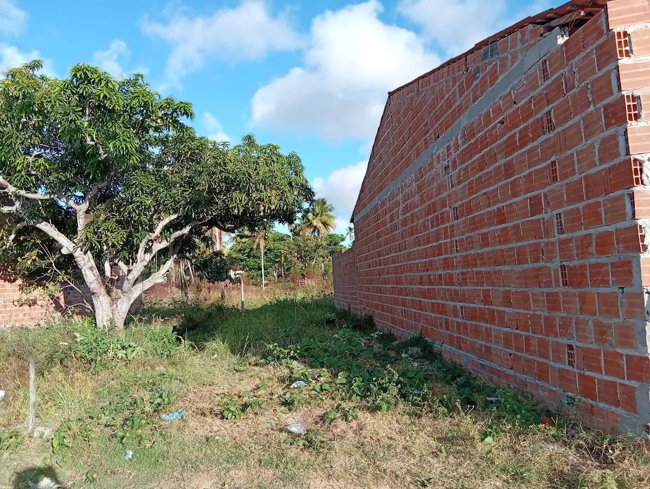 Foto - Piaçabuçu - 