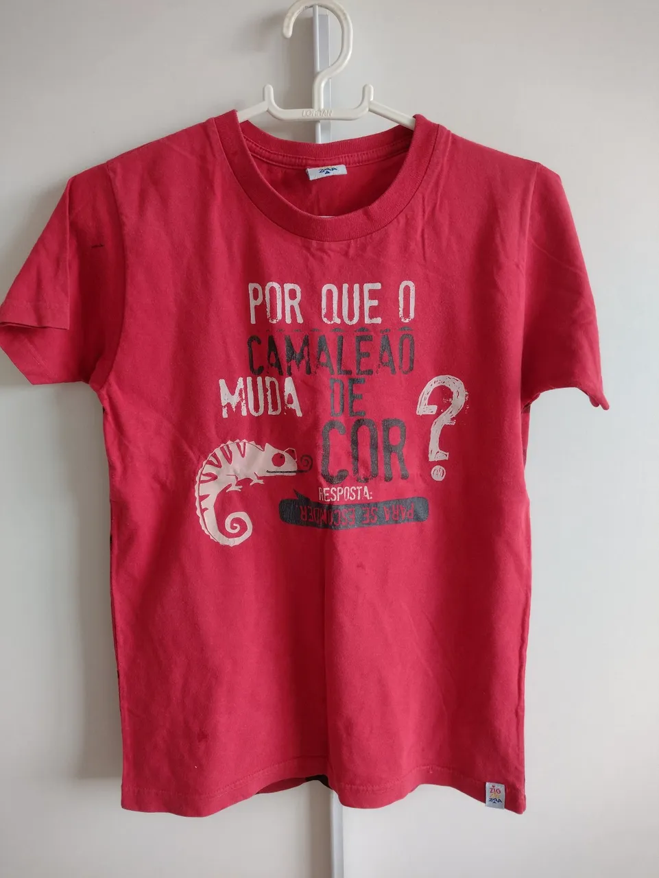 Camiseta Infantil Por Que o Camaleão Muda de Cor?