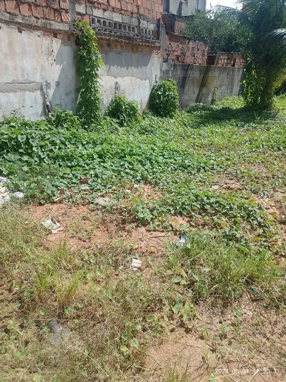 Terrenos em Vila de Abrantes  - Foto 8