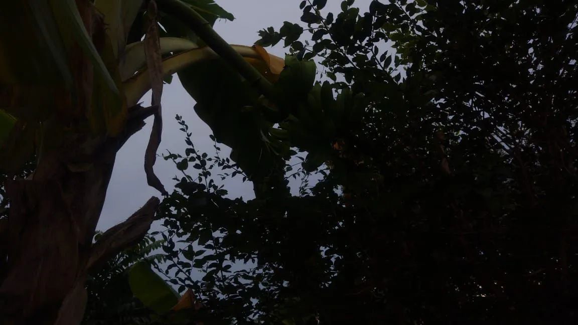 Chácara com preço de oportunidade!!! - Foto 14