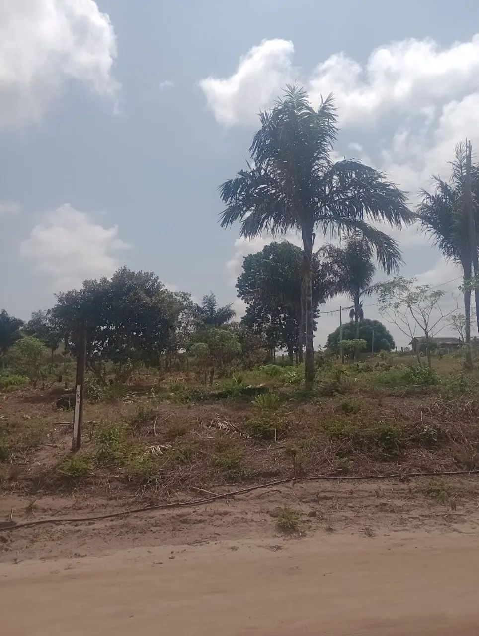 Terr Espírito Santo  - Foto 2