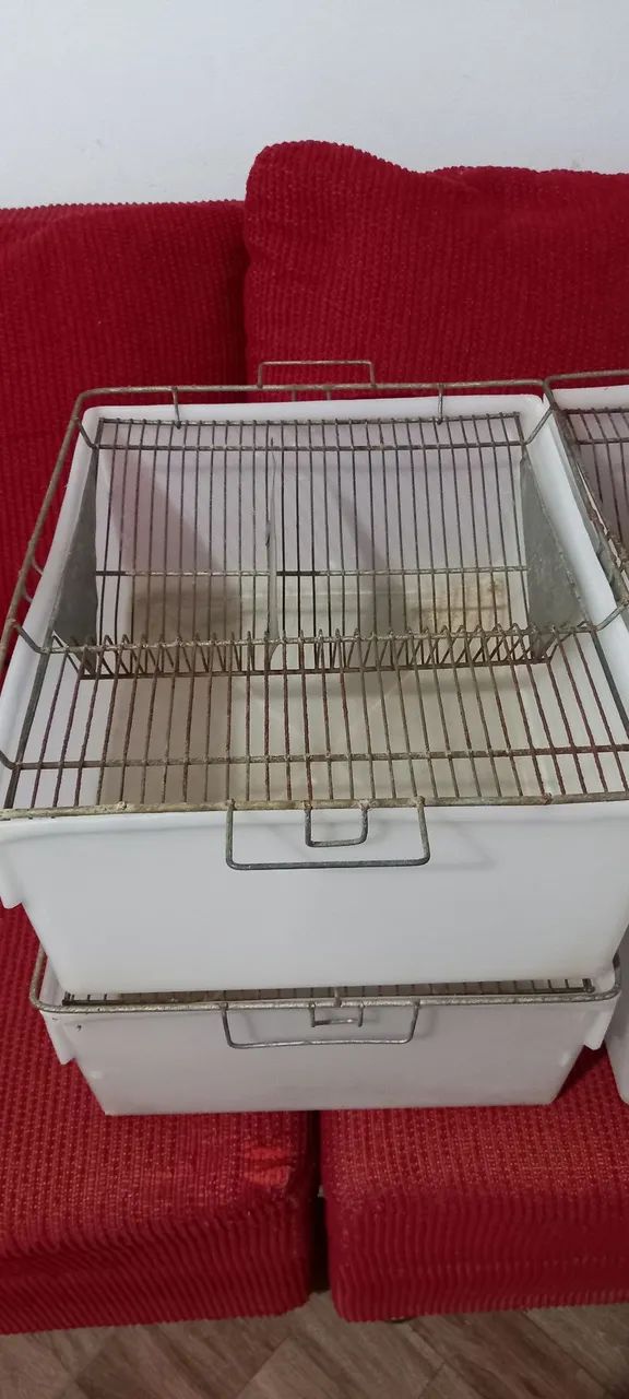 Caixa bioterio hamster ou mercol - Foto 4