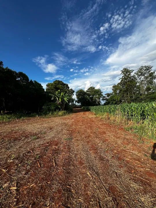 Chácara em Dourados, à 20km de Dourados e 20km de Fátima do Sul - Foto 5